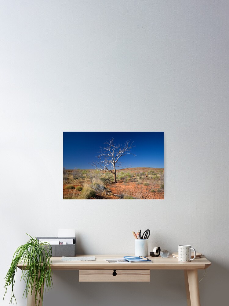 Thumbnail 1 of 3, Poster, Lone Tree designed and sold by Richard Windeyer.