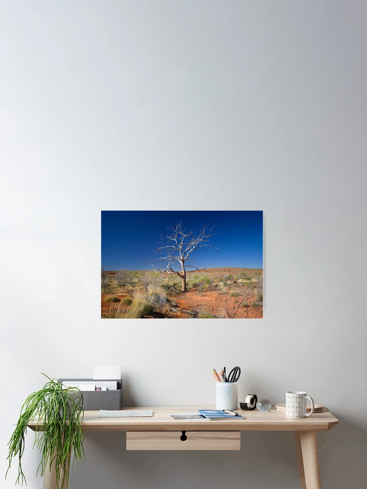 Thumbnail 2 of 3, Poster, Lone Tree designed and sold by Richard  Windeyer.