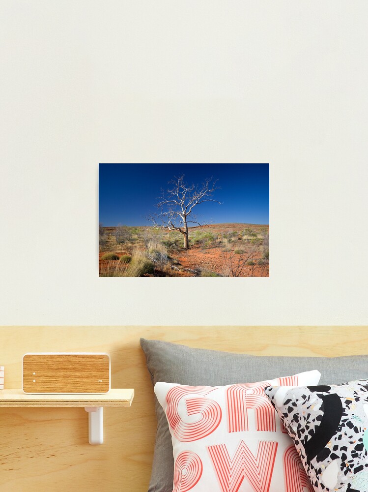 Thumbnail 2 of 3, Photographic Print, Lone Tree designed and sold by RICHARDW.