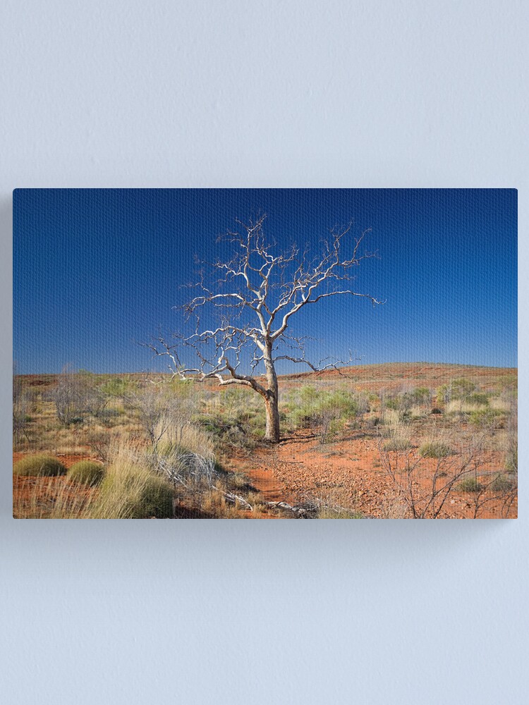 Alternate view of Lone Tree Canvas Print