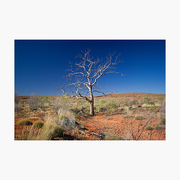 Photographic Print