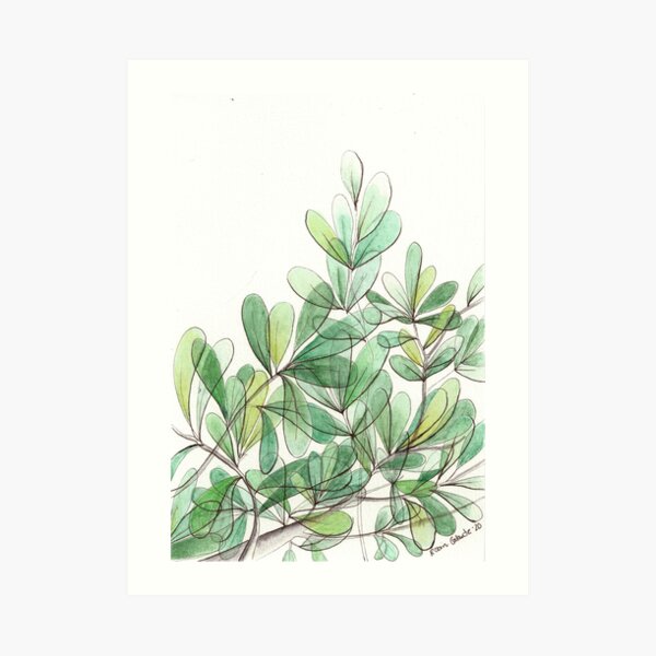 The Neighbor's Tree Art Print