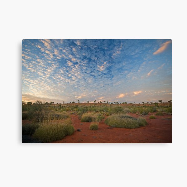 Canning Spinifex Canvas Print