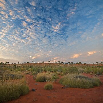 Artwork thumbnail, Canning Spinifex by RICHARDW