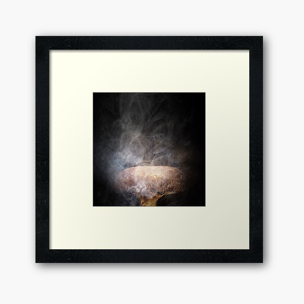 Fungus the Magician Framed Art Print