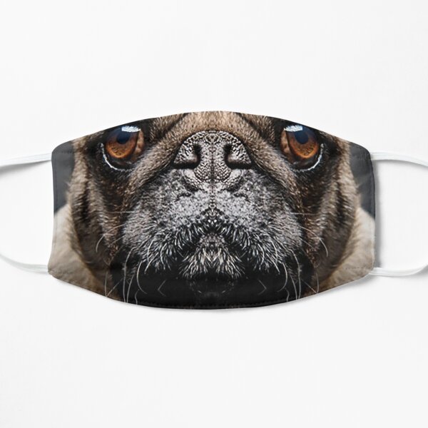 Grumpy Pug With a Very Sad Face Animals Gifts Safe Face protection covering Men Women Flat Mask
