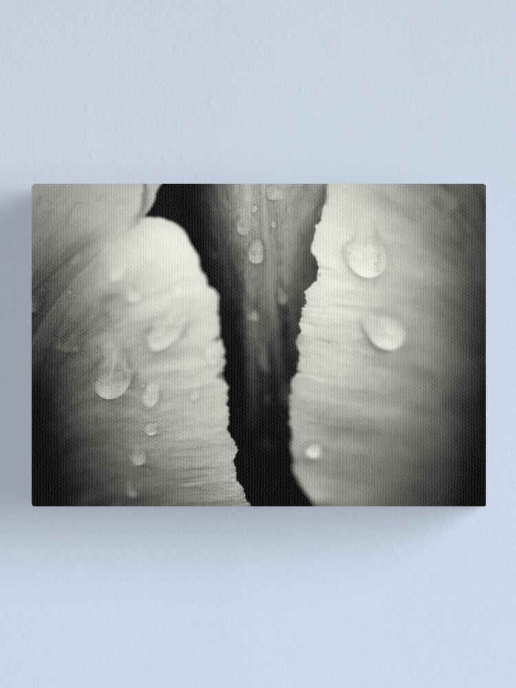 Alternate view of Wet Canvas Print