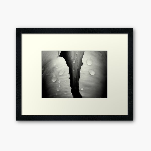 Wet Framed Art Print