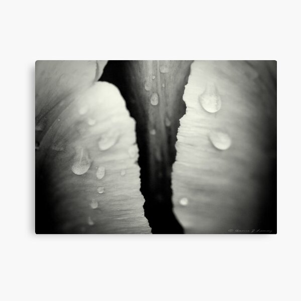 Wet Canvas Print