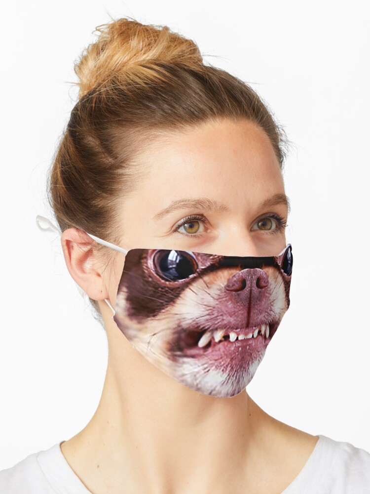 Chihuahua Aggressiver Hund Knurrt Und Sieht Wutend Aus Tiere Geschenke Sicherer Gesichtsschutz Fur Manner Frauen Maske Von Davosllc Redbubble