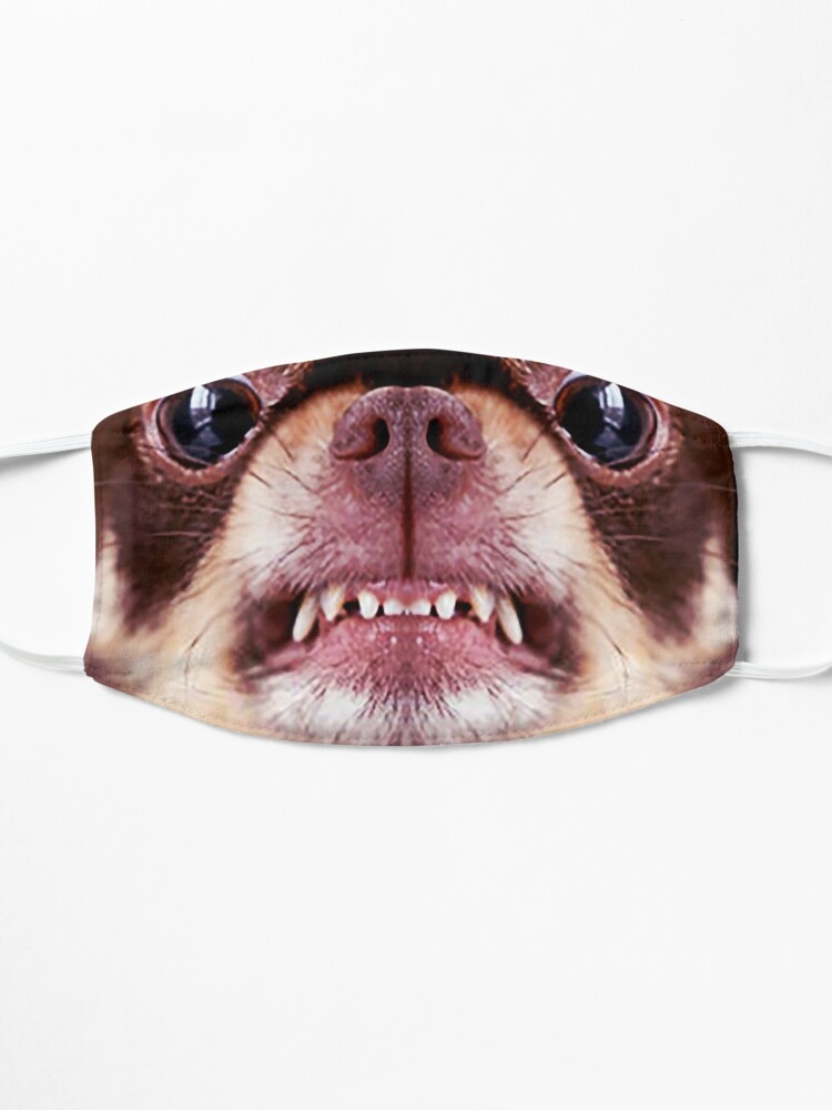 snarling dog mask