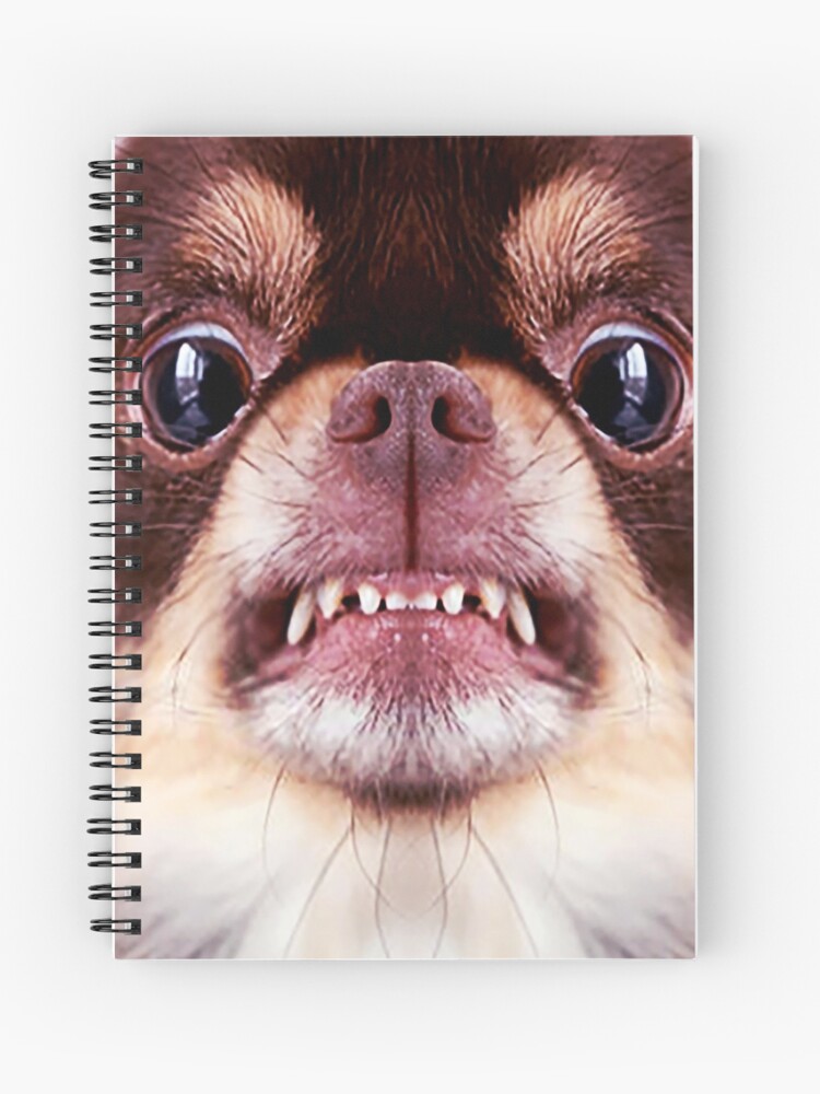 Chihuahua aggressive dog snarling and looking angry Animals Gifts Safe Face protection covering Men Women Chihuahua aggressive dog snarling and looking angry Animals Gifts Safe Face protection covering Men Women
