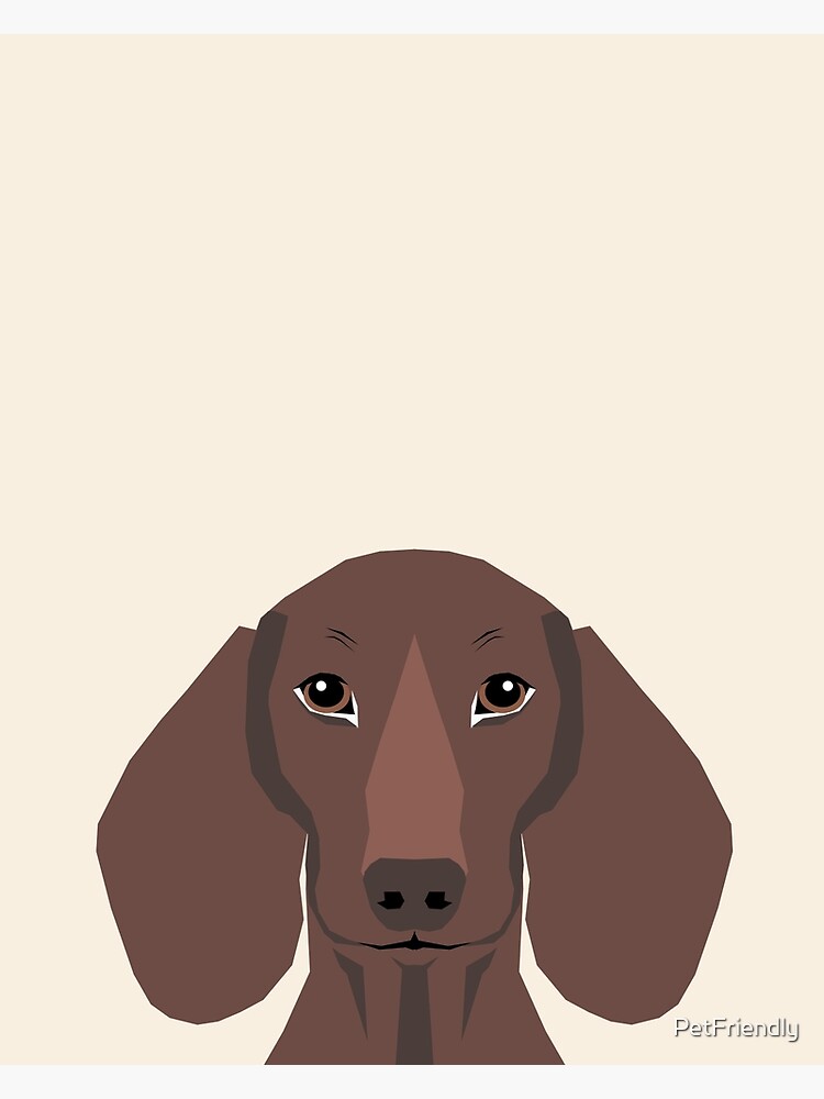 Dachshund doxie pet portrait hot dog weener dog breed funny small