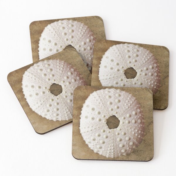 Item preview, Brown Sea Urchin designed and sold by Islandjunkie09.