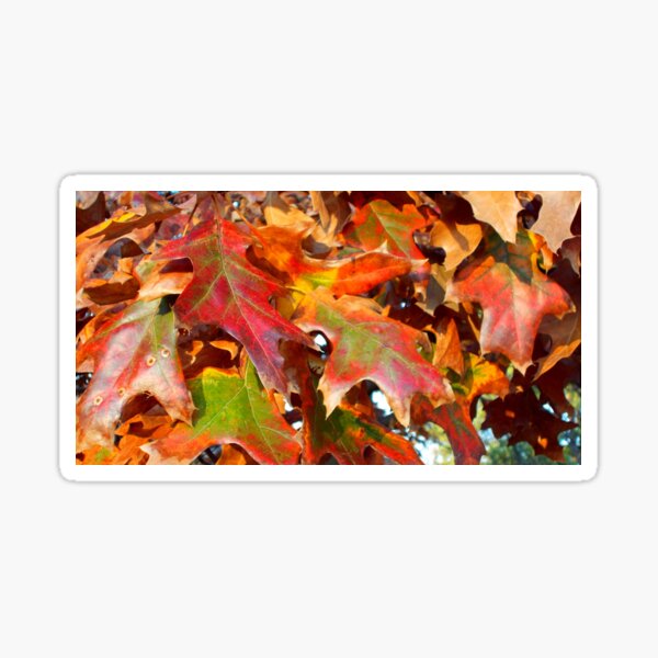 Item preview, Fall Fun designed and sold by WildestArt.