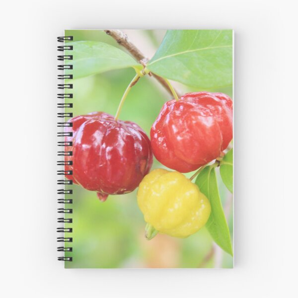 Item preview, Surinam Cherry designed and sold by Islandjunkie09.