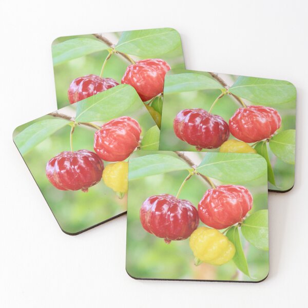 Item preview, Surinam Cherry designed and sold by Islandjunkie09.