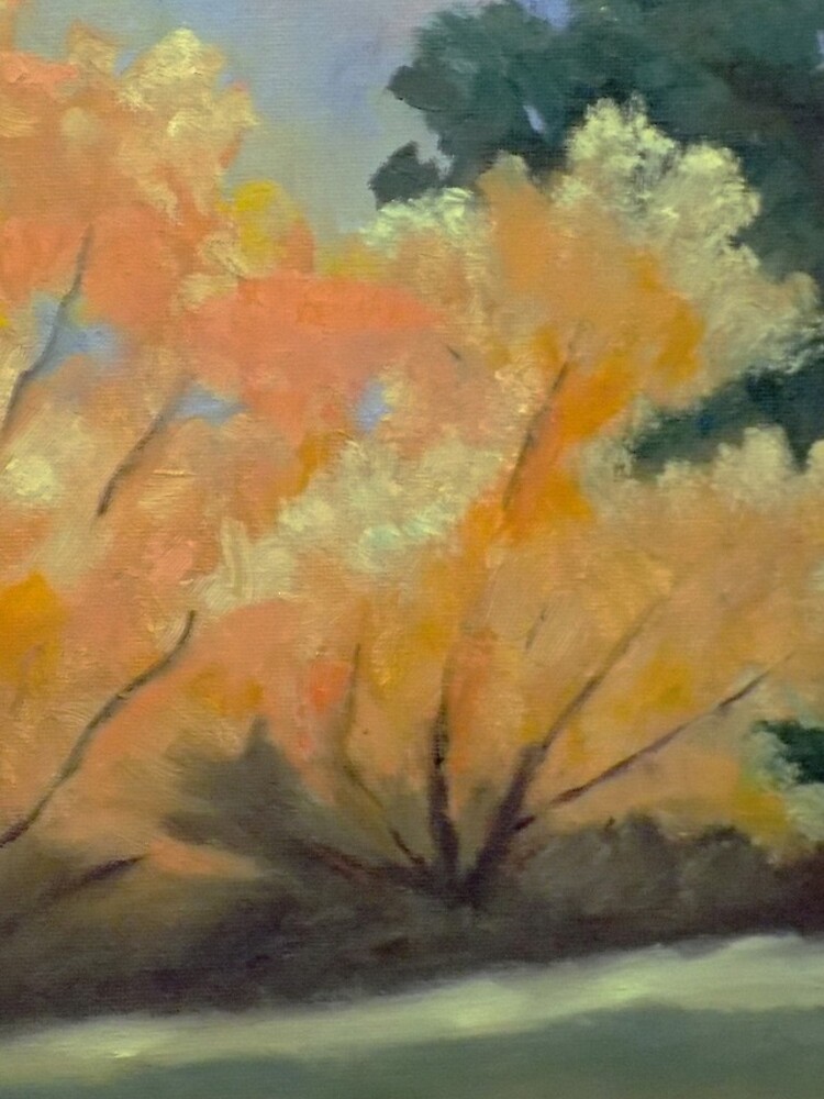 Trees by irenebernhardt
