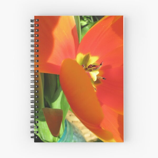 Item preview, Teaser designed and sold by Diane Arndt.