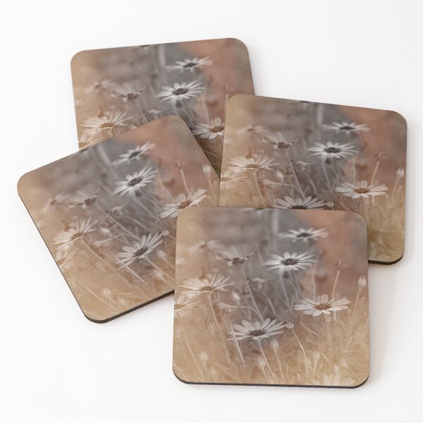 Item preview, Nikon Daisies © Vicki Ferrari Photography designed and sold by Vicki Ferrari Photography.