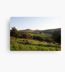 Llanfairfechan landscape. Canvas Print