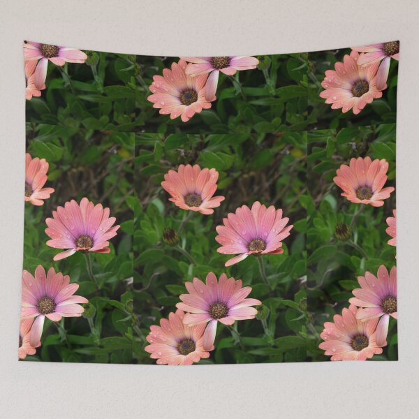Item preview, Four Pink African Daisy Flowers designed and sold by pixelmountain.