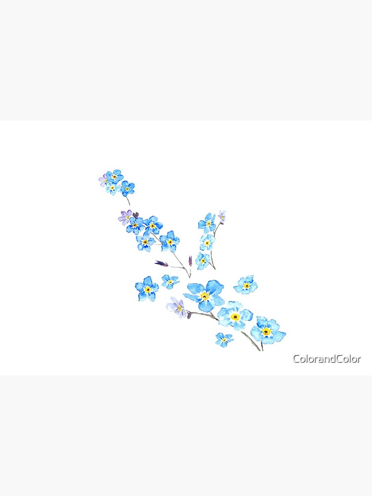 blue forget me not by ColorandColor