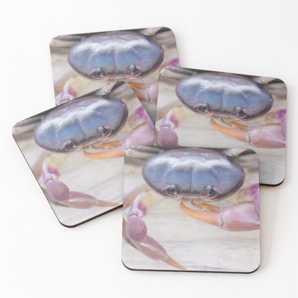 Item preview, Bahamian land crab designed and sold by Islandjunkie09.