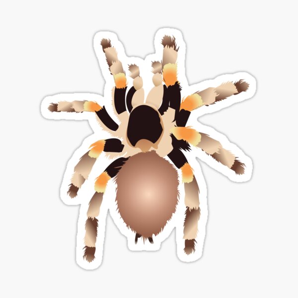 Item preview, Tarantula designed and sold by KCPetPortraits.