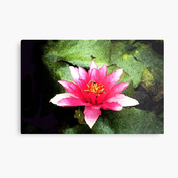 hi Metal Print