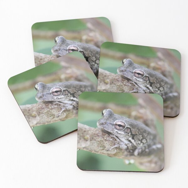 Item preview, Brown Tree Frog designed and sold by Islandjunkie09.