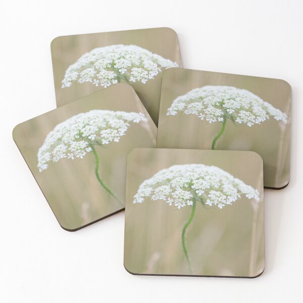 Item preview, Queen Anne's Lace designed and sold by Islandjunkie09.