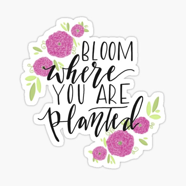 Bloom Where You Are Planted Stickers | Redbubble
