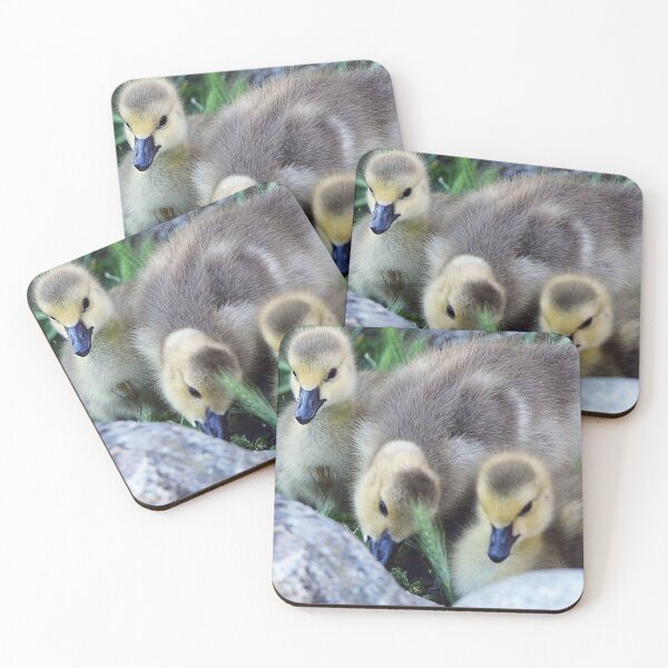 Item preview, Three Little Duckies designed and sold by Tdcc2000.