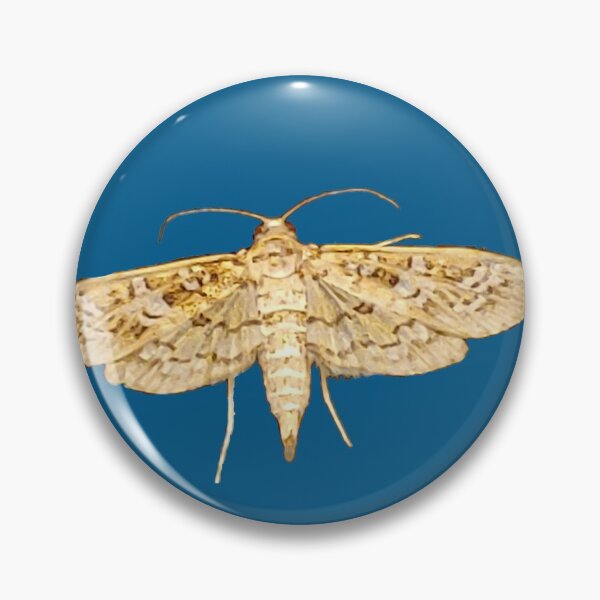 Item preview, Golden Moth designed and sold by Aqualyn.