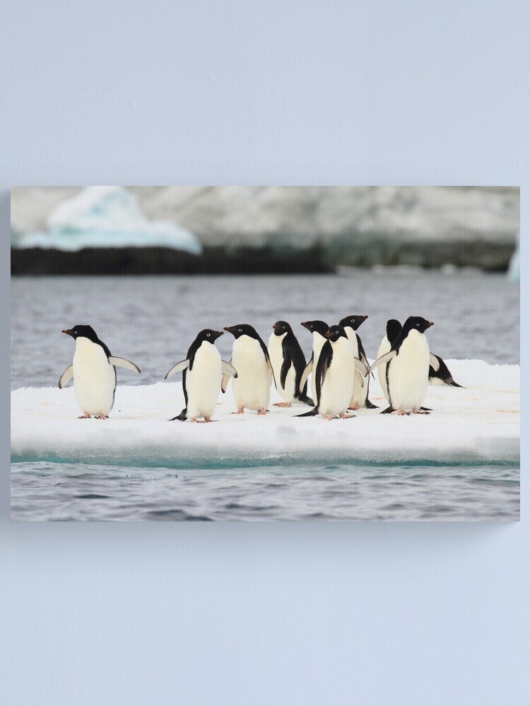 Alternate view of Going With The Flow Canvas Print