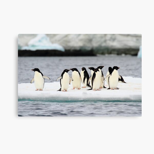 Going With The Flow Canvas Print