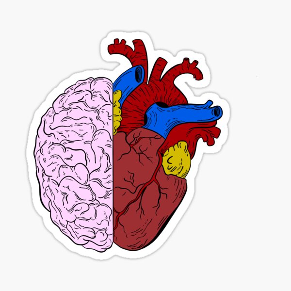 Herz Und Gehirn Geschenke Merchandise Redbubble