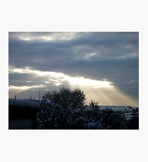 Bathed In Light Photographic Print