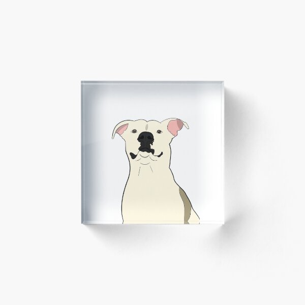 Horloge chiens deco coloré Pitbull Acrylique Deco Mur Horloge Retro