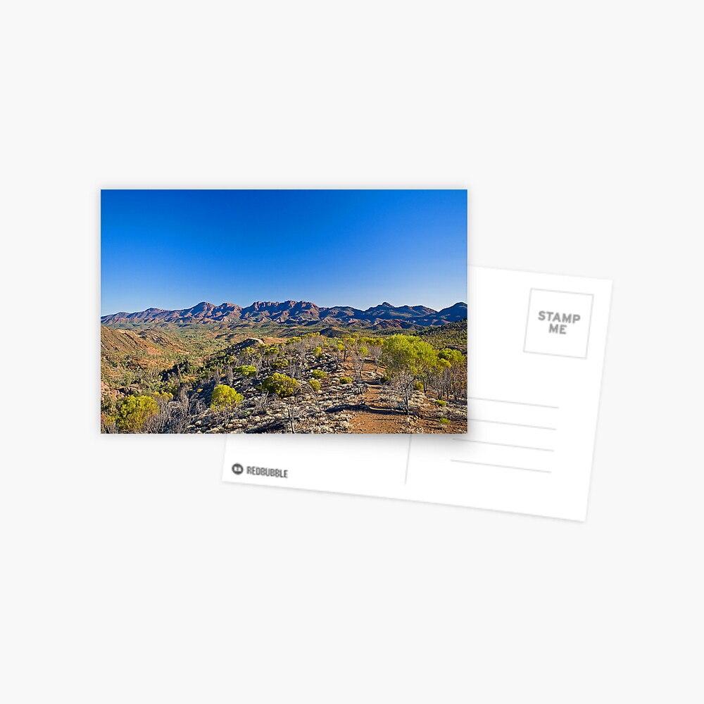 Razorback Lookout Postcard