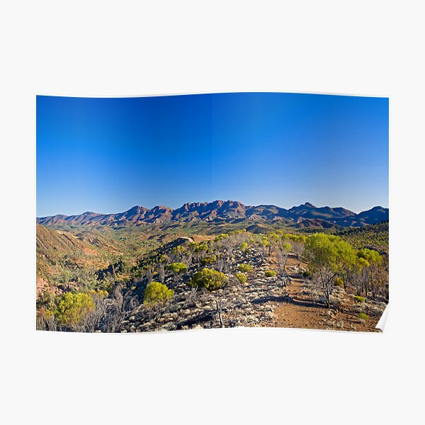 Razorback Lookout Poster
