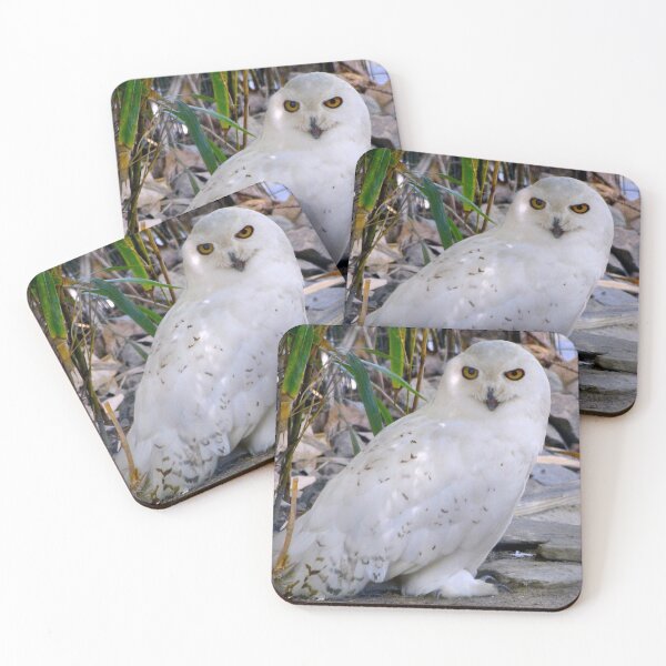 Item preview, Snowy Owl designed and sold by rocketfoot7.