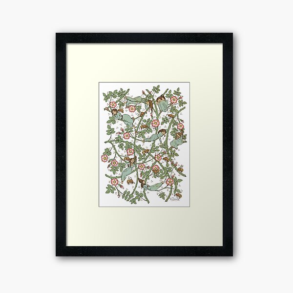 Framed Print