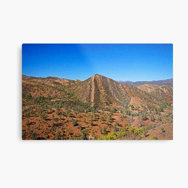 Metal Print