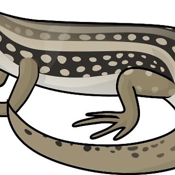 Artwork thumbnail, Guthega Skink by Daniel Terrington