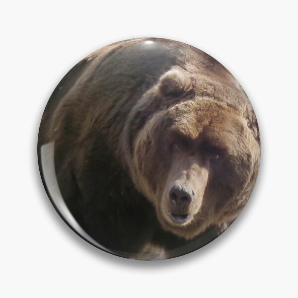 Artikelvorschau, Grizzlybär entworfen und verkauft von Gwright313.