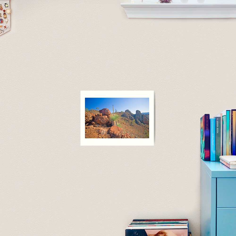 Arkaroola Grass Trees 1 Art Print