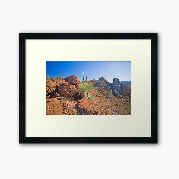 Arkaroola Grass Trees 1 Framed Art Print