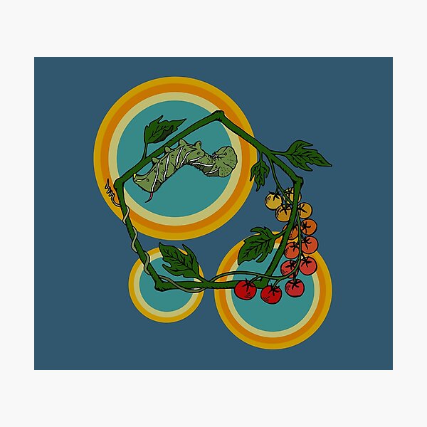 Item preview, Retro 70s Tomato hornworm designed and sold by thebugladies.